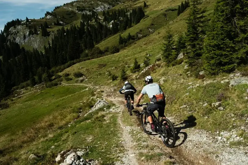 Twee mountainbikers rijden een singletrack door een alpine weide
